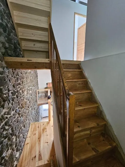 Maison De Ville De Charme Aiguilhe Holiday home
